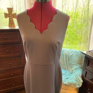 NWT Loft Dress.  Grey with scalloped v-neck.  Size 8.